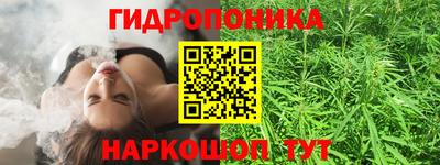 трава Шахты