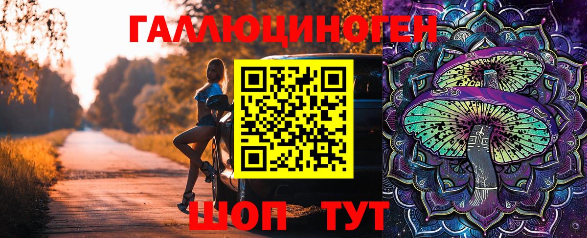 Борзя  Псилоцибиновые грибы Cubensis  Вход с VPN 