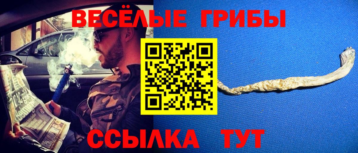 Меф МЯУ МЯУ кристаллы  Конопля  Codein  Гашиш  Борзя  MDMA  Вход с VPN 